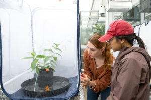 Two researchers examining young plant specimens inside a greenhouse facility