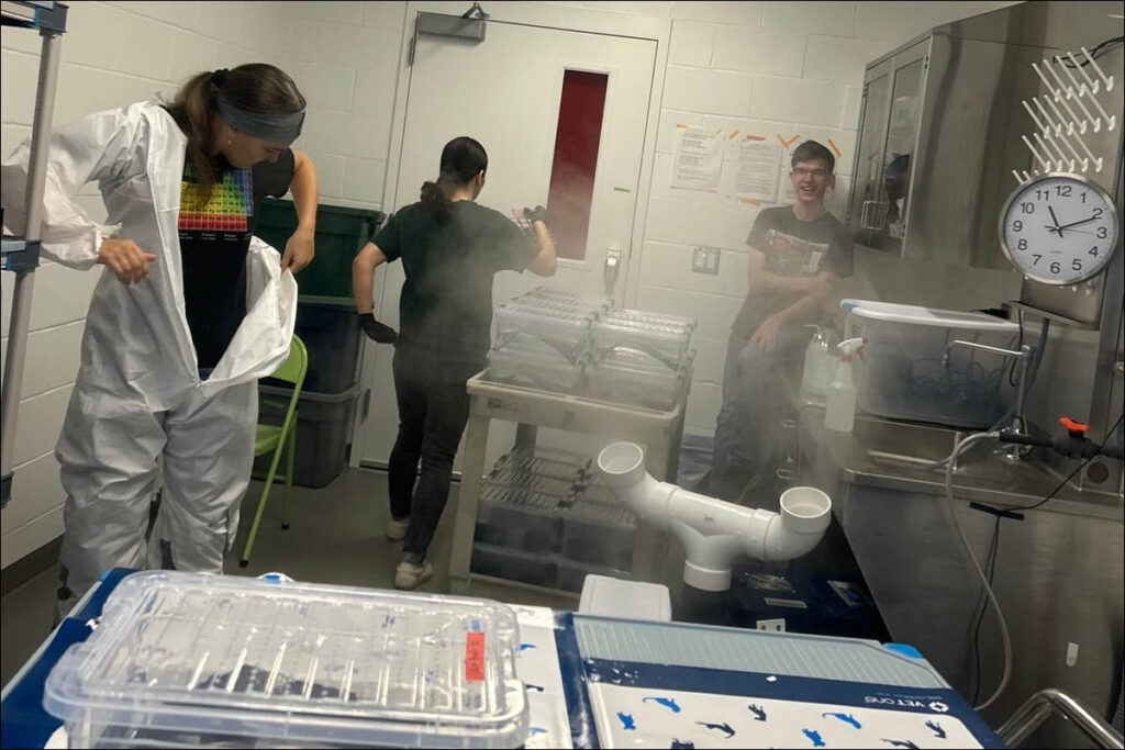 Researchers monitoring equipment in an industrial laboratory setup
