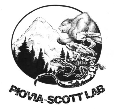 Drawing with a snow-capped mountain, forest, and beaver, newt, frog, and salamander next to them.