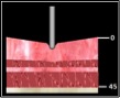 TissueLayers