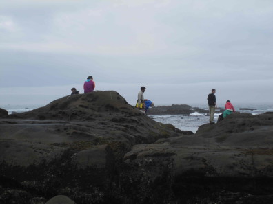 Cape Arago last day