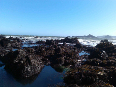 Cape Blanco intertidal