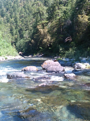 Elk River 1