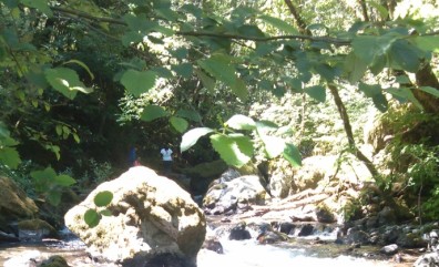 Elk river 2