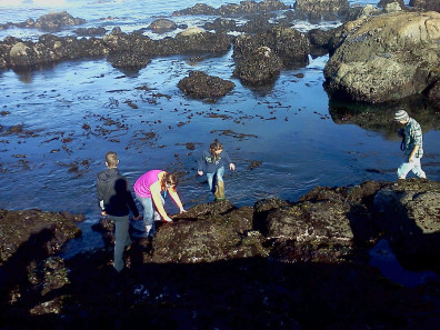 Intertidal