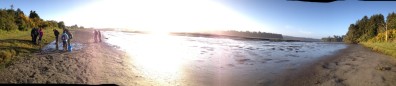 SS panoramic
