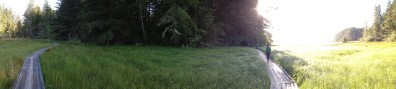 Salt marsh