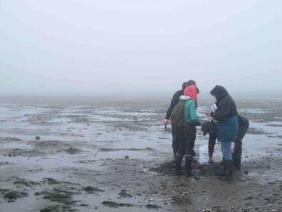 Sampling in fog