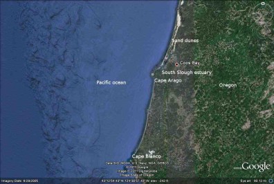 Southern Oregon coast