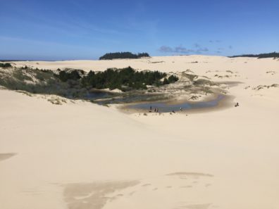 IMG_6577
