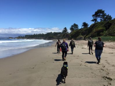 Lighthouse beach