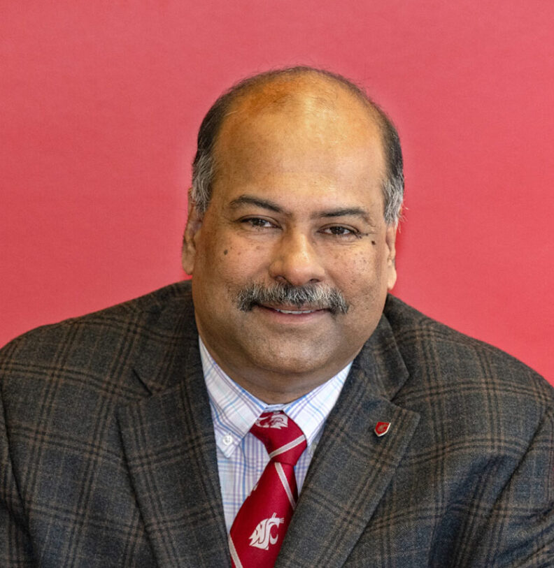Person in a suit wearing WSU-branded tie and lapel pin.