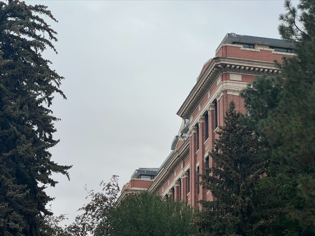 Carpenter Hall.