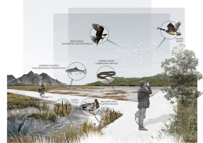 LA student design work depicting a wetland education trail. 