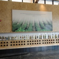 WSU Visitor Center display.