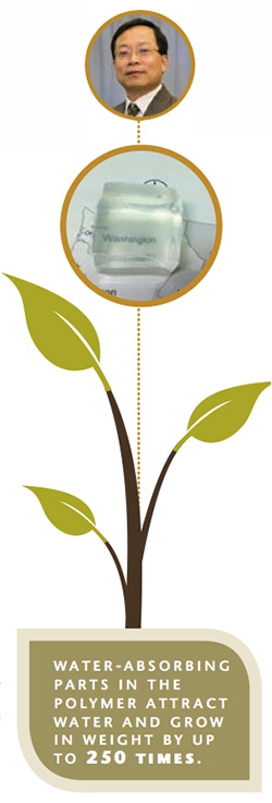 infographic of Jinwen Zhang and absorbent gel