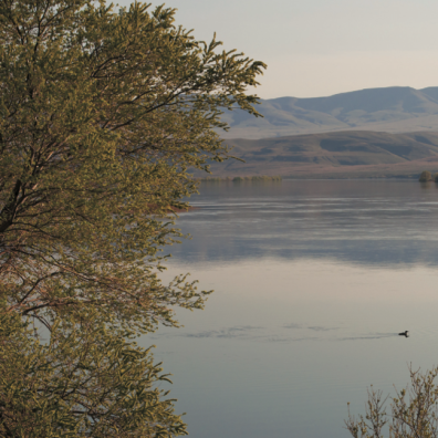 landscape with water and trees.