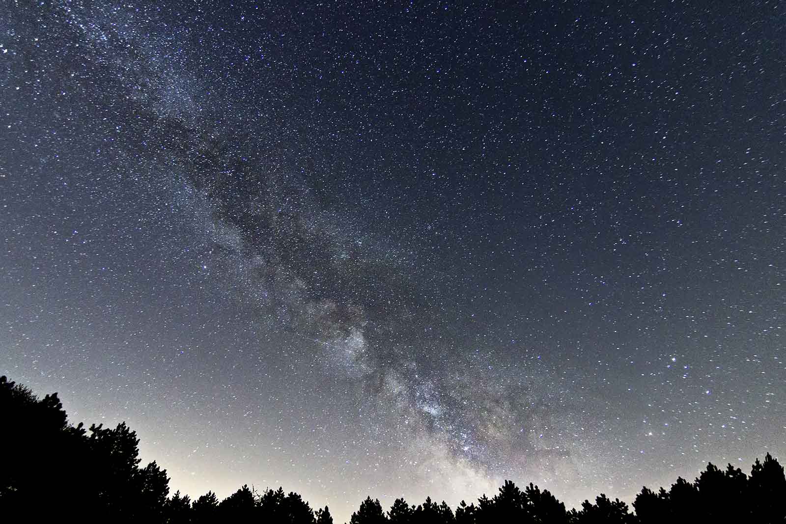 Night sky full of stars.