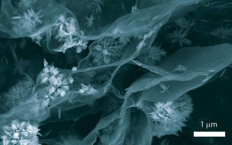 A nanoscale particle that looks like a tiny flower.
