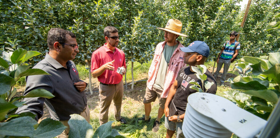 Researchers discussing agricultural AI near apple trees.