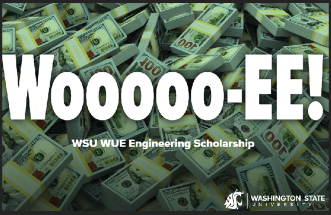 Stacks of one hundred dollar bills with the text Woooo-EE! WSU WUE Engineering Scholarship.