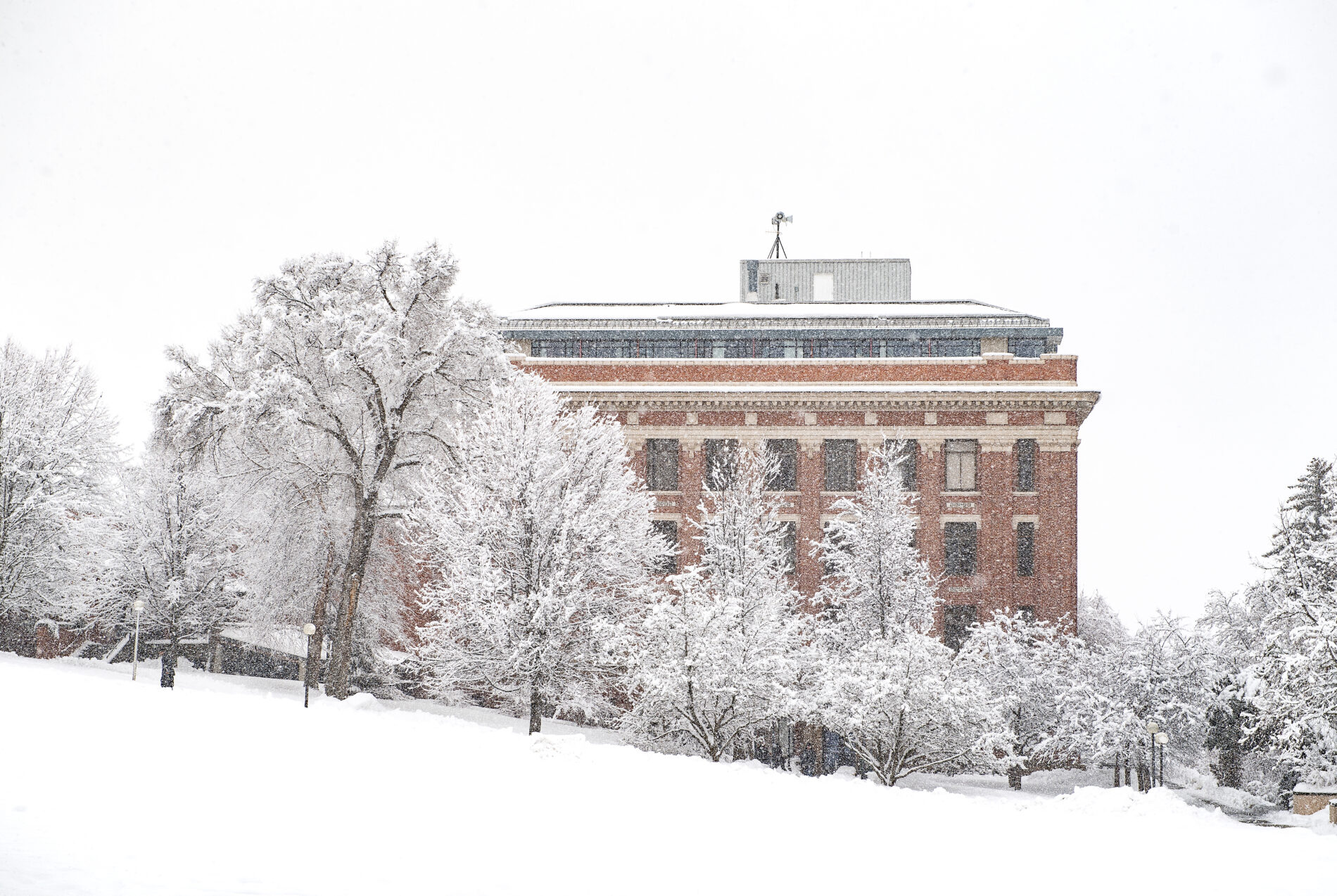 Carpenter Hall with a fresh blanket of snow.