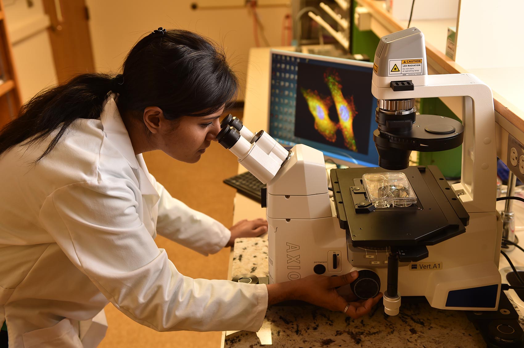 A student imaging cells for cancer diagnosis
