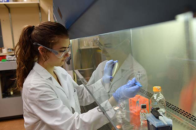Undergraduate student Kaitlin Smith inoculating bacterial culture