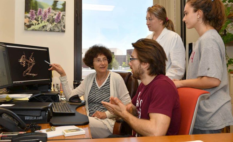 Researchers discussing a diagram on a computer screen.