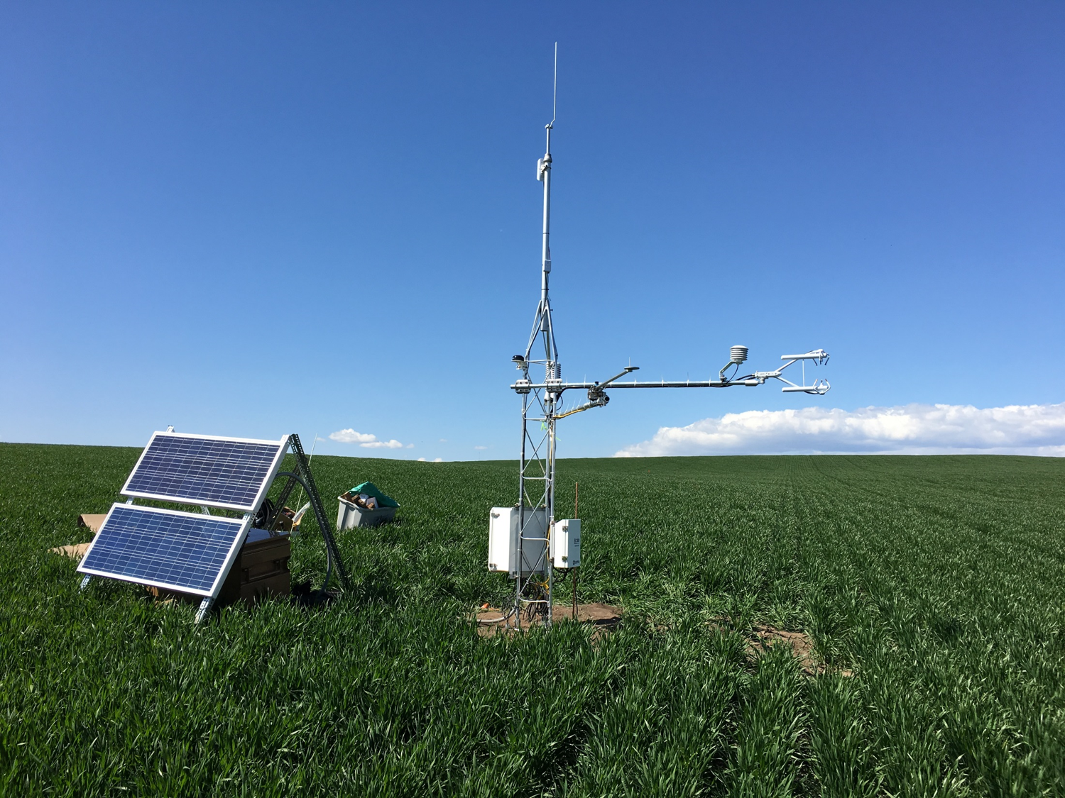 Carbon and Water Dynamics Field Study.