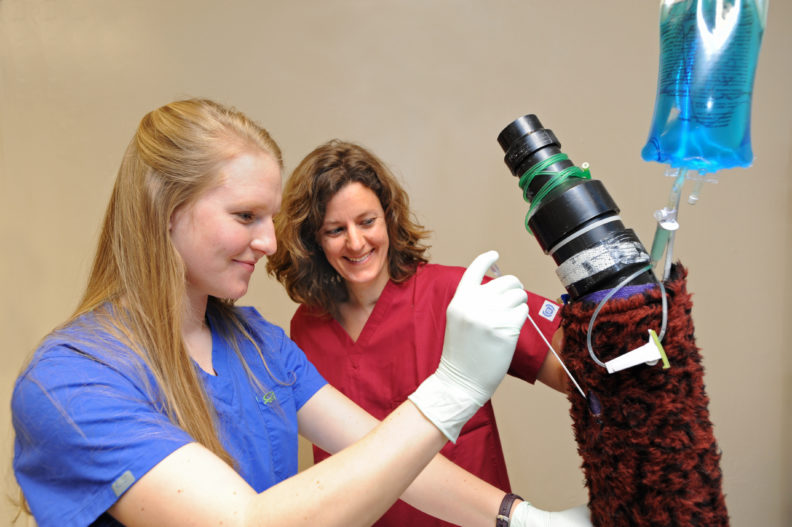 Veterinarian Julie Cary with veterinary student Amy Berry