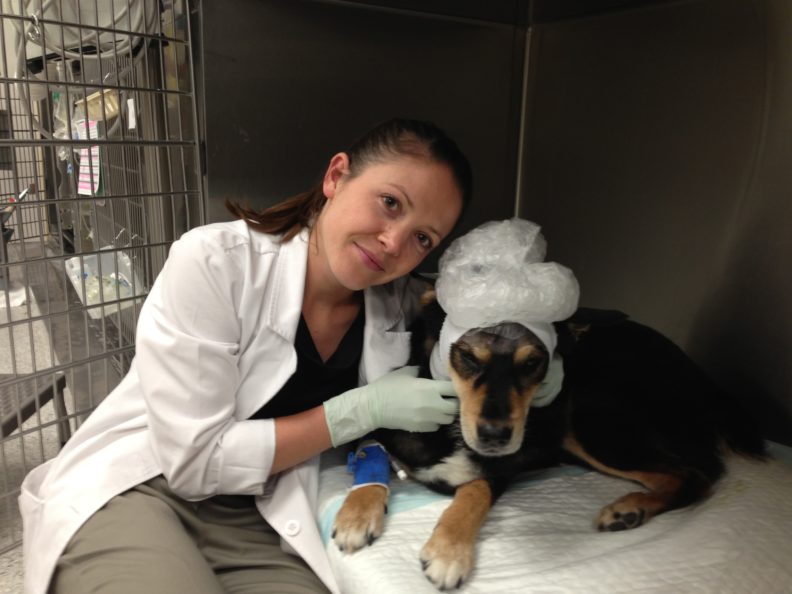 Beryl Swanson veterinary student with Mr. Bear