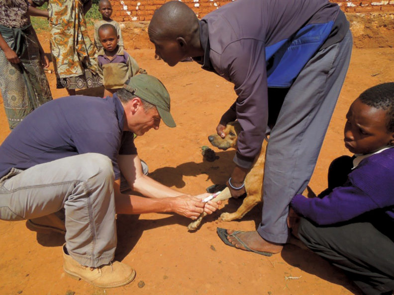 Felix Lankester drawing blood from a dog in Tanzania