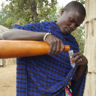 Maasai man in Tanzania pouring milk from calabash gourd