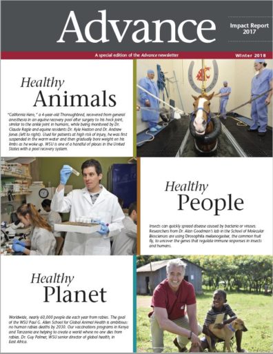 Cover image - Advance Impact Report winter 2018