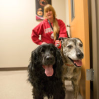 Woman and 2 dogs