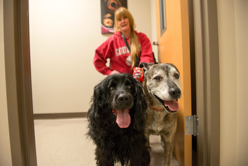 Woman and 2 dogs