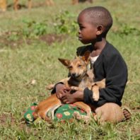 East African boy sitting in the grass with a dog in his lap