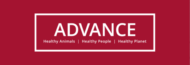 Advance Health Animals Healthy People Healthy Planet