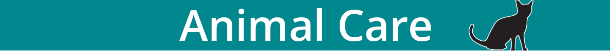 Teal banner that says animal care