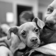 Man with dog