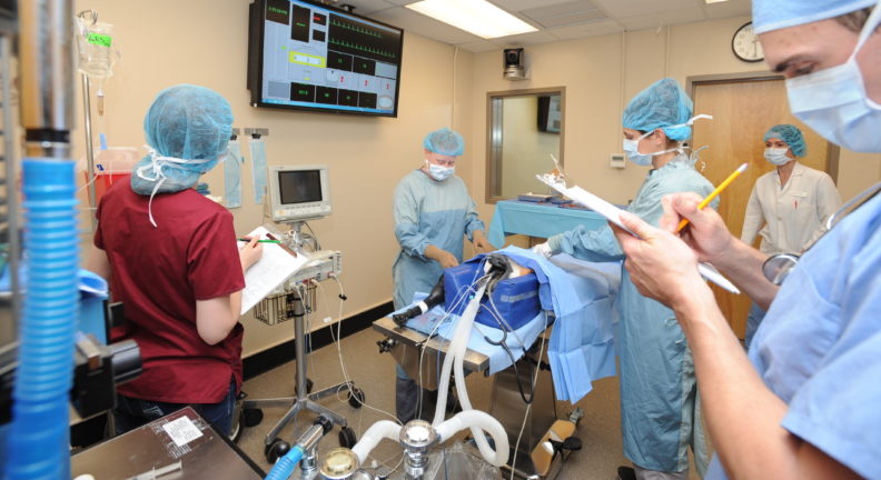 Student are performing a simulated surgery.