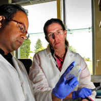 In the lab looking at a sample.