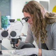 Dr. Adair is looking through a microscope