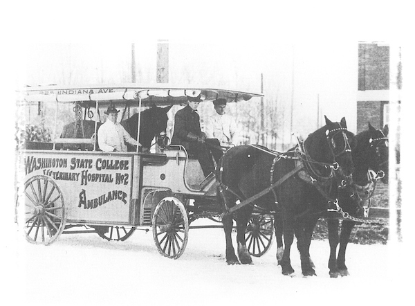 A 2-horse drawn ambulance.