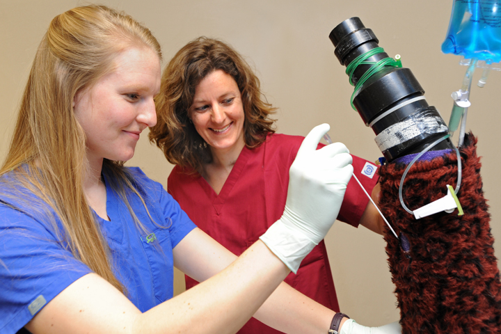 Veterinarian Julie Cary with veterinary student Amy Berry.
