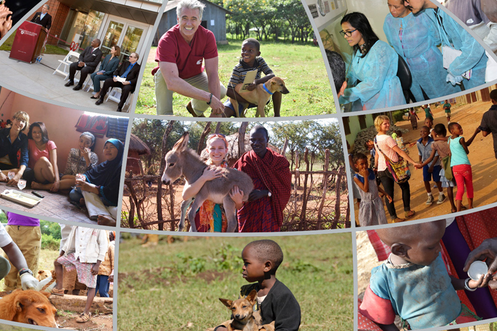 Collage of image from the Allen School.