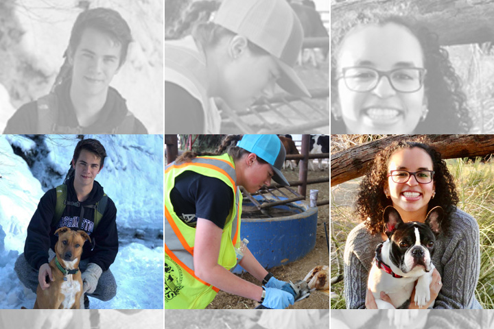 Photo collage of three students. Left to right, Jason Adams, Kathryne Blair, and Haley Garcia.