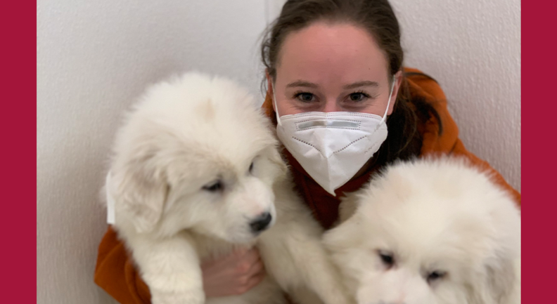 Alyssa Riley with two fluffy white puppies.