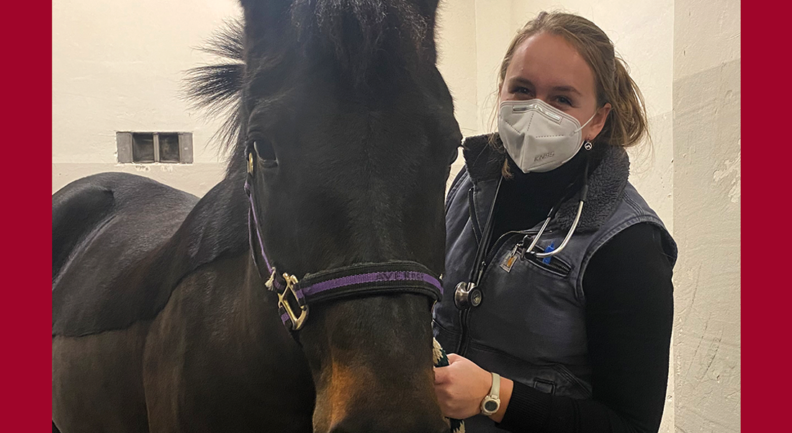 Sarah Calvin with horse in the vet hospital.
